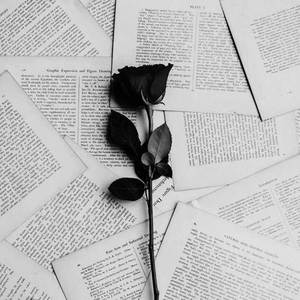 blackrose