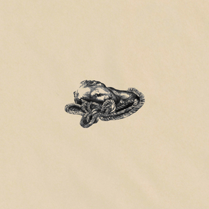 In the Breeze (Acoustic)