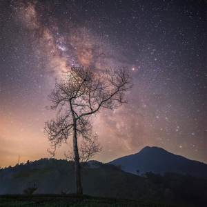 So Fine (feat. Tintin & LowK)