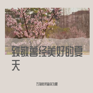 菊次郎的夏天（即兴弹奏）