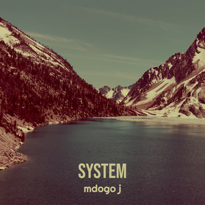 System