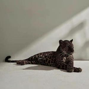 [FREE]"Pull Up"Trap Beat