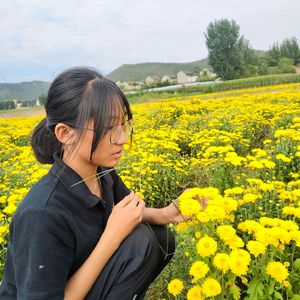 四季香里的甜-刘保