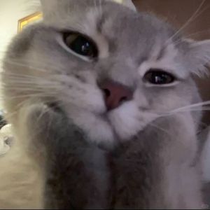 光年之外的思念