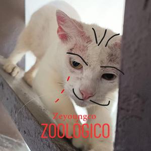 zoológico