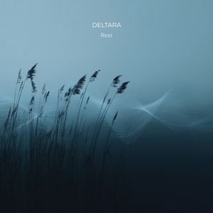 Rest (0.5hz Delta)