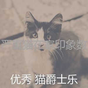 安静的猫在家声音