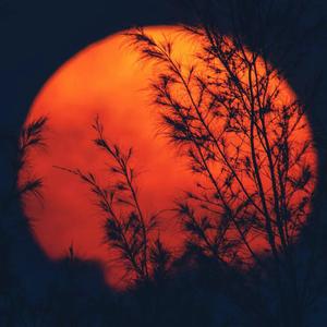 [FREE] ‘’君と一緒に過ごした時間‘’