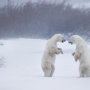 9月25日 下午9点18分