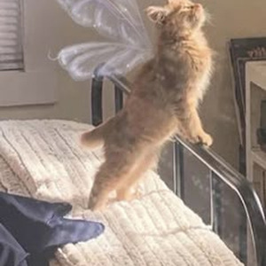 Nothins Free (sped up)