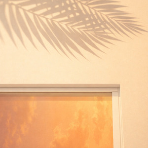 Mahogany Fading Horizon Embrace