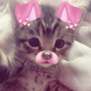 BE YOURSELF OR SOMEONE BETTER