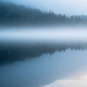 Moonlight Resting on Water