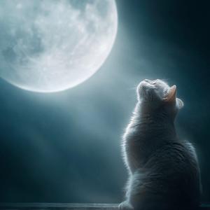 DreamSoul Suite No 1