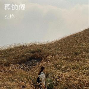 真的傻