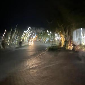 Anemoiaアネモイア