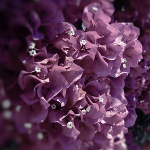 哥们酷奇外套身上穿