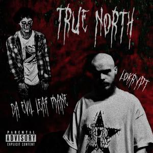 TRUE NORTH