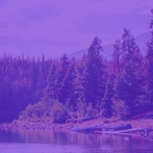 一尘不染吃印象数