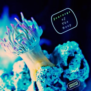 Spectral Light Looms