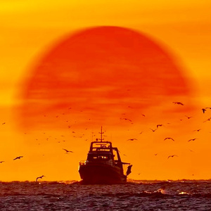 【FREE】R&B POP Guitar Type Beat "潮汐"