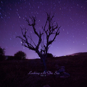 그리움이 잠든 밤