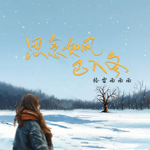思念如风已入冬 (陪我过个冬 DJ 九零版)
