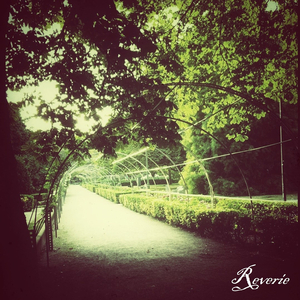 Reverie