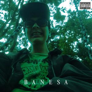 BANESA