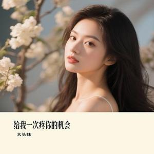 给我一次疼你的机会 (Remix)