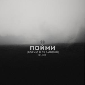 ПОЙМИ (ВОРУЮ И ПАРАНОЙЮ)