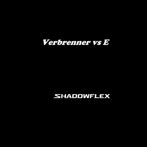 Verbrenner vs E