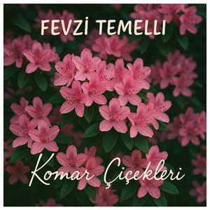 Komar Çiçekleri (Cover)