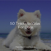Sleep Music For Dogs - Ambient Soundscape for Sleep