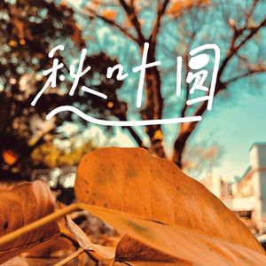 秋叶圆
