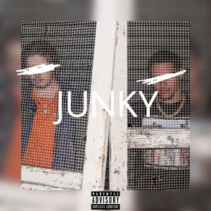 JUNKY