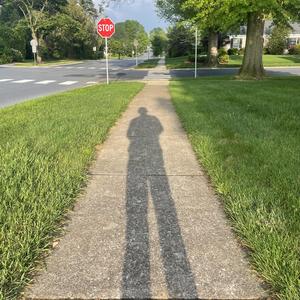 fever (feat. bribandz)