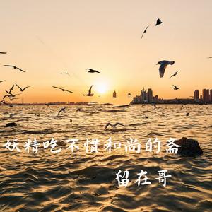 妖精吃不惯和尚的斋