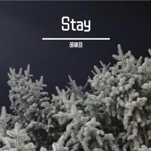 Stay（翻自 Justin Bieber）