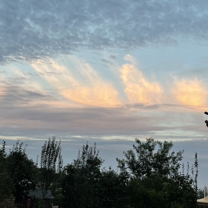 REC20200317103424.mp3