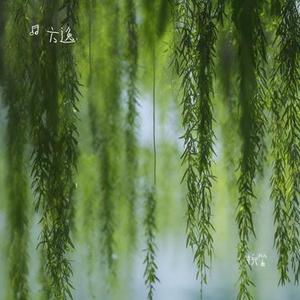 柳笛