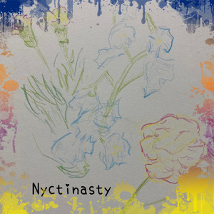 Nyctinasty