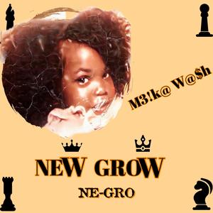 Get On Da Flo (feat. Dju Dju)