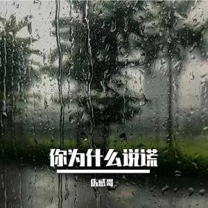 你为什么说谎（DJ落天版）