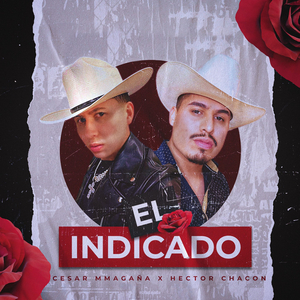 El Indicado