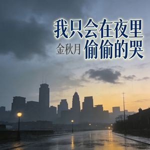 我只会在夜里偷偷的哭