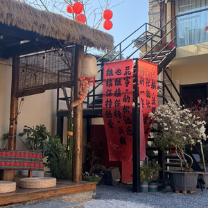 我的小胖奇