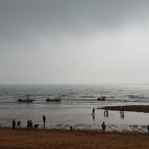 你说（You said）