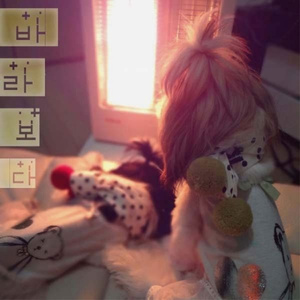 바라보다 (Inst.)