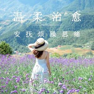 心灵的憩息之地 - 放松纯音乐